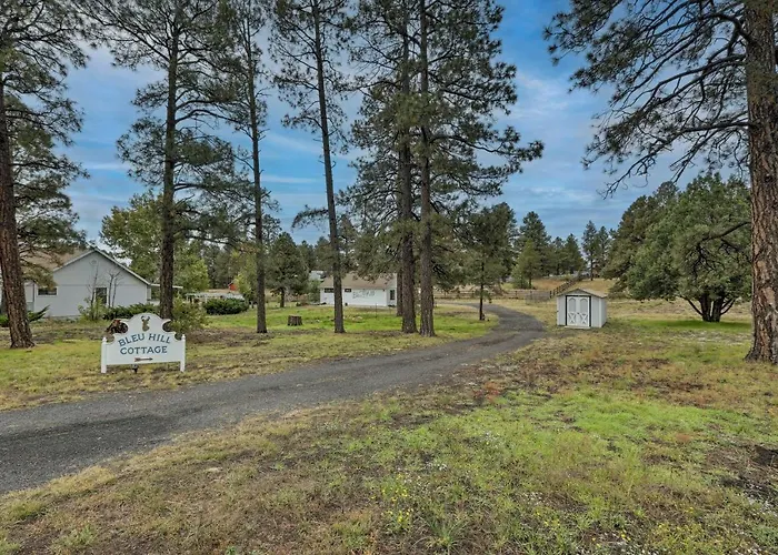 Ski, Hike & Explore: Cottage! Flagstaff
